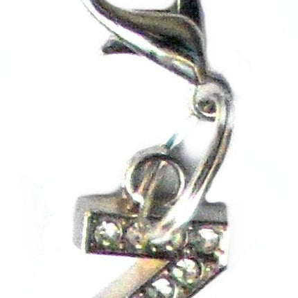 A-Z Crystal Letter Pet Charms