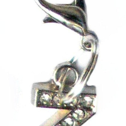 A-Z Crystal Letter Pet Charms