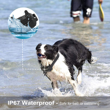 1Pc Dog Training Collar With Remote  IP67 Waterproof Pet Trainer