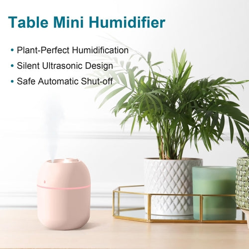 Portable Mini Humidifier 220ml Small Cool Mist Humidifier USB Personal