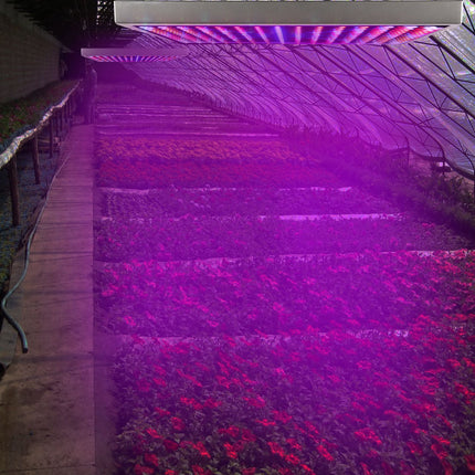 1 Set LED Grow Light Full Spectrum Hanging 225 LEDs Plant Grow Lamp