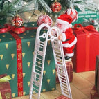 Climbing Step Ladder ( Electric )