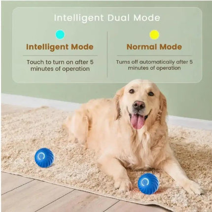 Blue And Orange Pet Bouncing Ball Fun Pet Bouncing Ball For Cats And