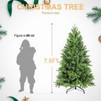 Half of 15ft