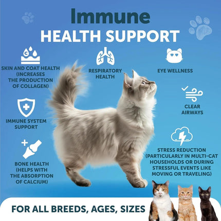 Do Not Sell On Amazon  L Lysine For Cats Lysine Powder Supplement