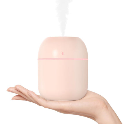 Portable Mini Humidifier 220ml Small Cool Mist Humidifier USB Personal