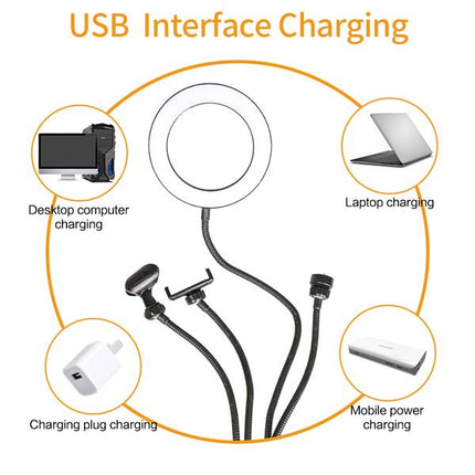 6" 4 in 1 Desktop Clip Light Set