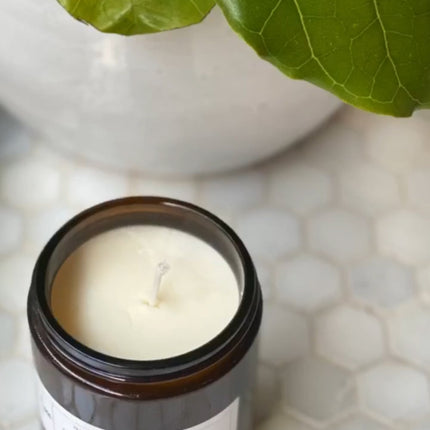 Eucalyptus + Ice Soy Wax Candle