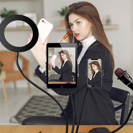 6" 4 in 1 Desktop Clip Light Set