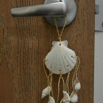 Assort White Irish Seashell Hanger Beach Decor