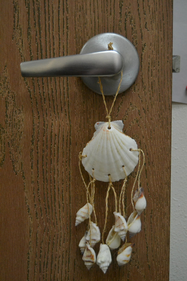 Assort White Irish Seashell Hanger Beach Decor