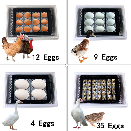 Automatic Eggs Incubator Digital Temperature Control Chicken Brooder