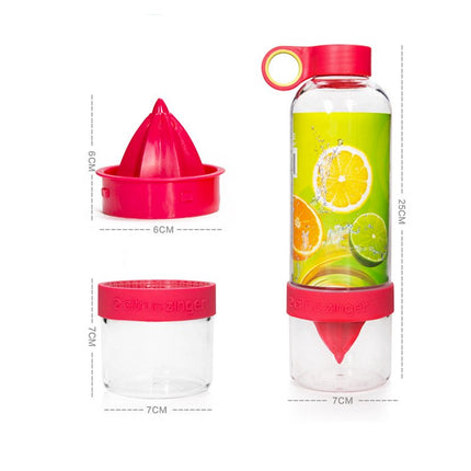 Lemon Fruit Juicer Bottle