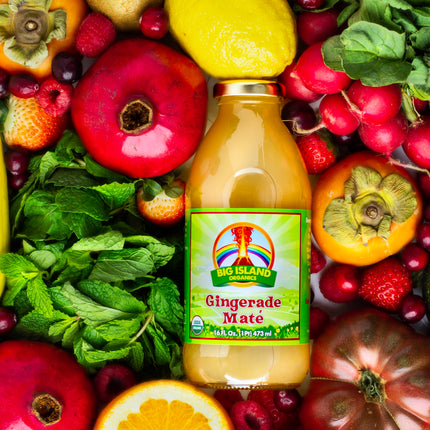 Gingerade Maté 16oz - 12pk