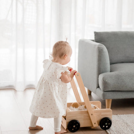 QToys Australia (USA) CLASSIC BABY WALKER