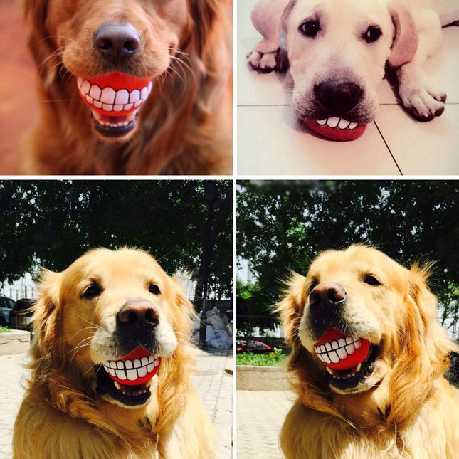Grinz Treat Ball