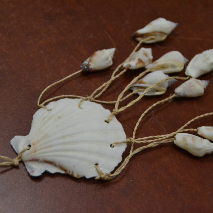 Assort White Irish Seashell Hanger Beach Decor