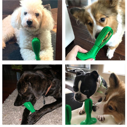 Natural Rubber Bite Resistant Dog Toothbrush Toy