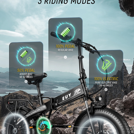 Electric Bike 750W Motor Fat Tire Ebike with Samsung 48V Battery