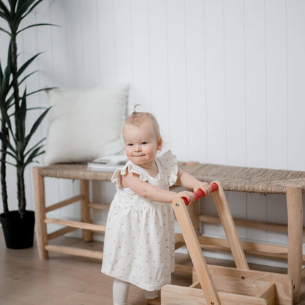 QToys Australia (USA) CLASSIC BABY WALKER