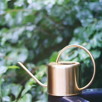 Watering Pot