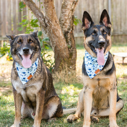 Adjustable Dog bandana
