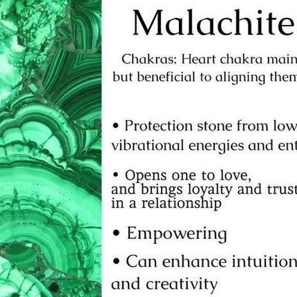 Genuine Malachite & Picture Jasper Stretch Bracelet! Rare Gemstone!