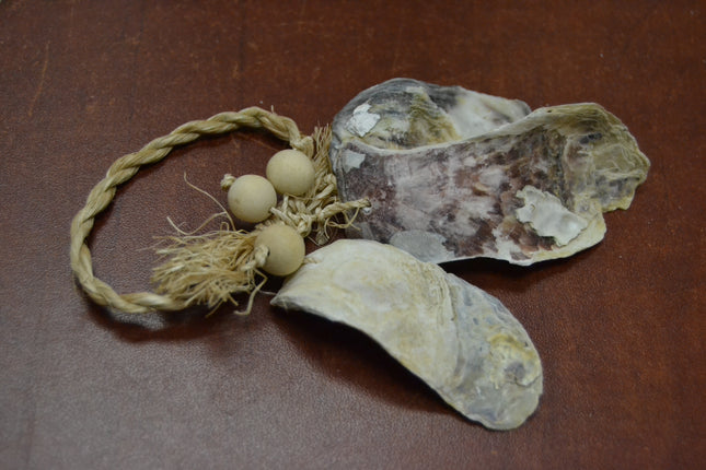 Purple Seashell Hanger Door Bottle Beach Decor