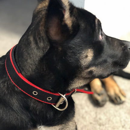 Durable Dog Collar - Red/Black