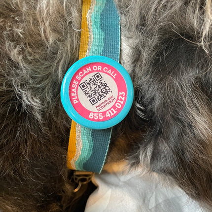 Wholesale pack of 50 QR Code Pet ID Tags with Free Pet Profile