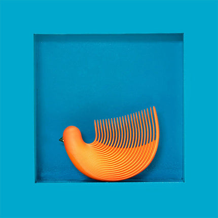 Modern Bird Comb