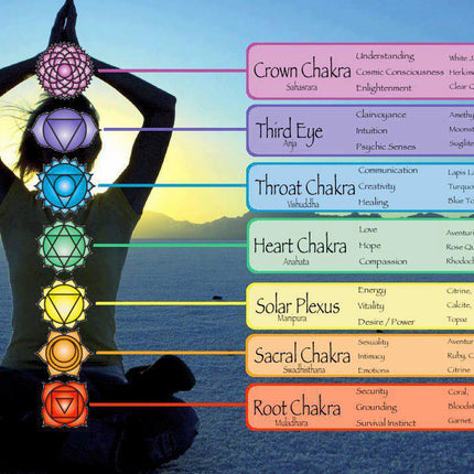 Black Tourmaline & Crystal Quartz Stretch Bracelet! Genuine Crystals!