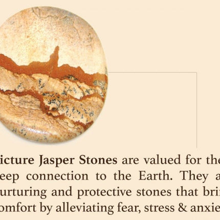 Genuine Malachite & Picture Jasper Stretch Bracelet! Rare Gemstone!