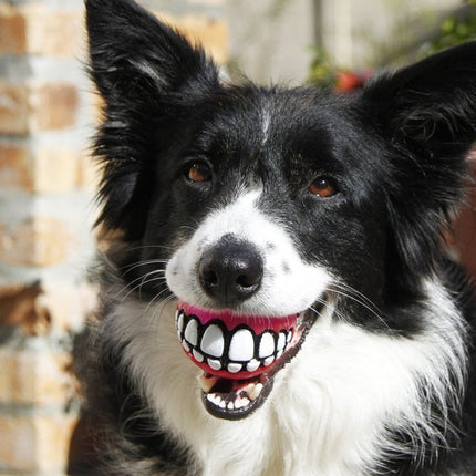 Grinz Treat Ball