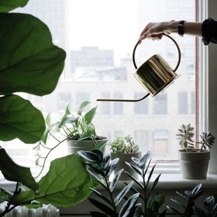 Watering Pot