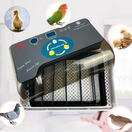 Automatic Eggs Incubator Digital Temperature Control Chicken Brooder