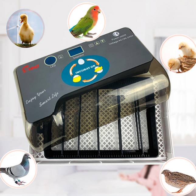 Automatic Eggs Incubator Digital Temperature Control Chicken Brooder