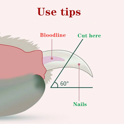 Pet Nail Scissors LED Cat Nail Clipper Trimmer