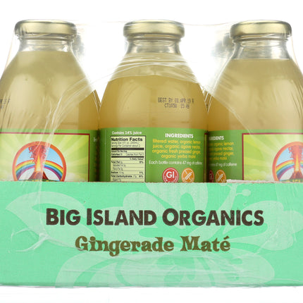Gingerade Maté 16oz - 12pk