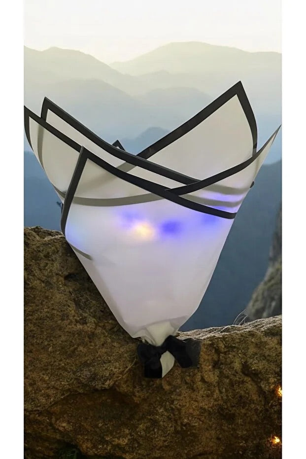 Butterfly LED Light Flowers Gift Girlfriend Mother Birthday Day