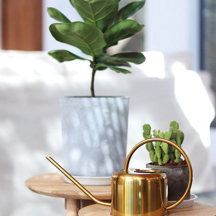 Watering Pot