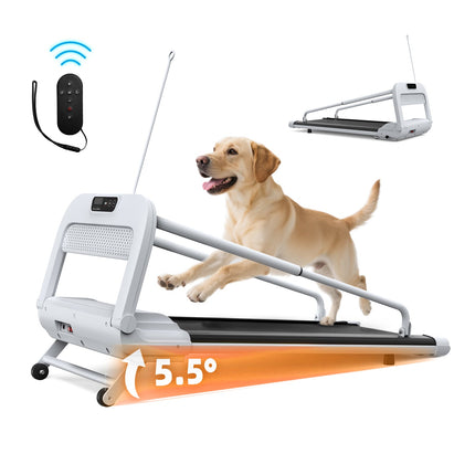 New Quiet Smart Pet Treadmill, Adjustable Speed, Perfect For Small