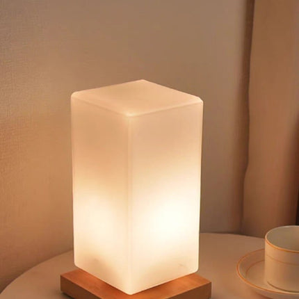 Dimmable Flower Vase Beside Decorative Table Lamp for Rustic Home