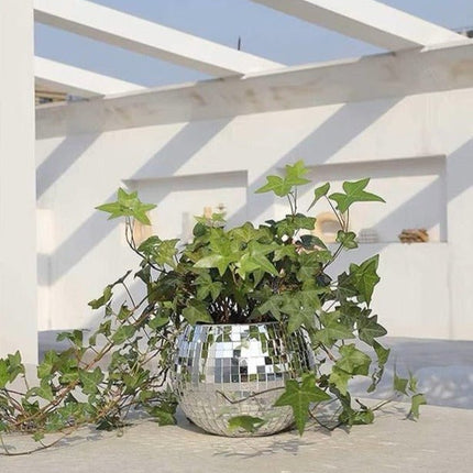 Eclectic Whimsical Disco Ball Hanging Herb Planters for Indoor,