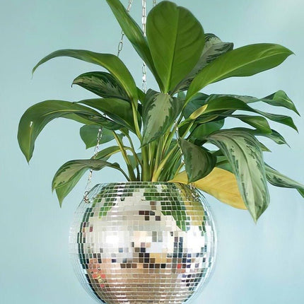 Eclectic Whimsical Disco Ball Hanging Herb Planters for Indoor,