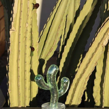Disco Dancing Cactus, Whimsical Dopamine Decor, Quirky Decorative Obje