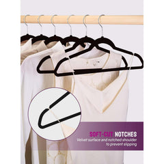 Collection image for: Organization