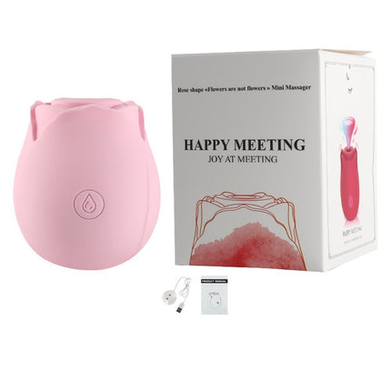 Discreet 10 Speed Personal Massage Rose Vibrator sucking Massager for