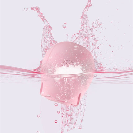 Discreet 10 Speed Personal Massage Rose Vibrator sucking Massager for