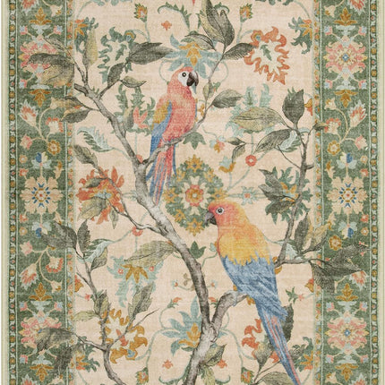 Botanical Birds 5x7 Washable Living Room Rug, Boho Green Bedroom